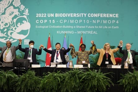 The top table of the Cop15 summit hold hands and raise them to celebrate the passing of the deal on 19 December The top table of the Cop15 summit hold hands and raise them to celebrate the passing of the deal on 19 December